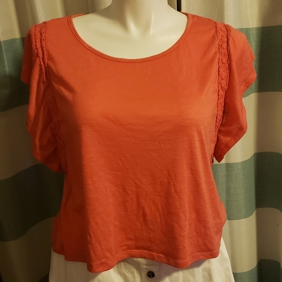 Crop top bundle - Picture 1 of 5